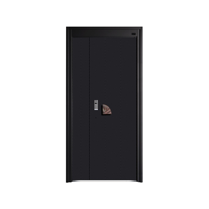 Ev Minimalist Giriş Kapısı